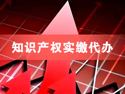 恩施知识产权实缴资本代办